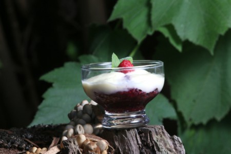 Perlitas de Sagú y Berries al Vino Tinto